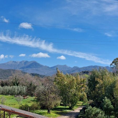Agriturismo La Petrosa Ceraso Eksteriør billede