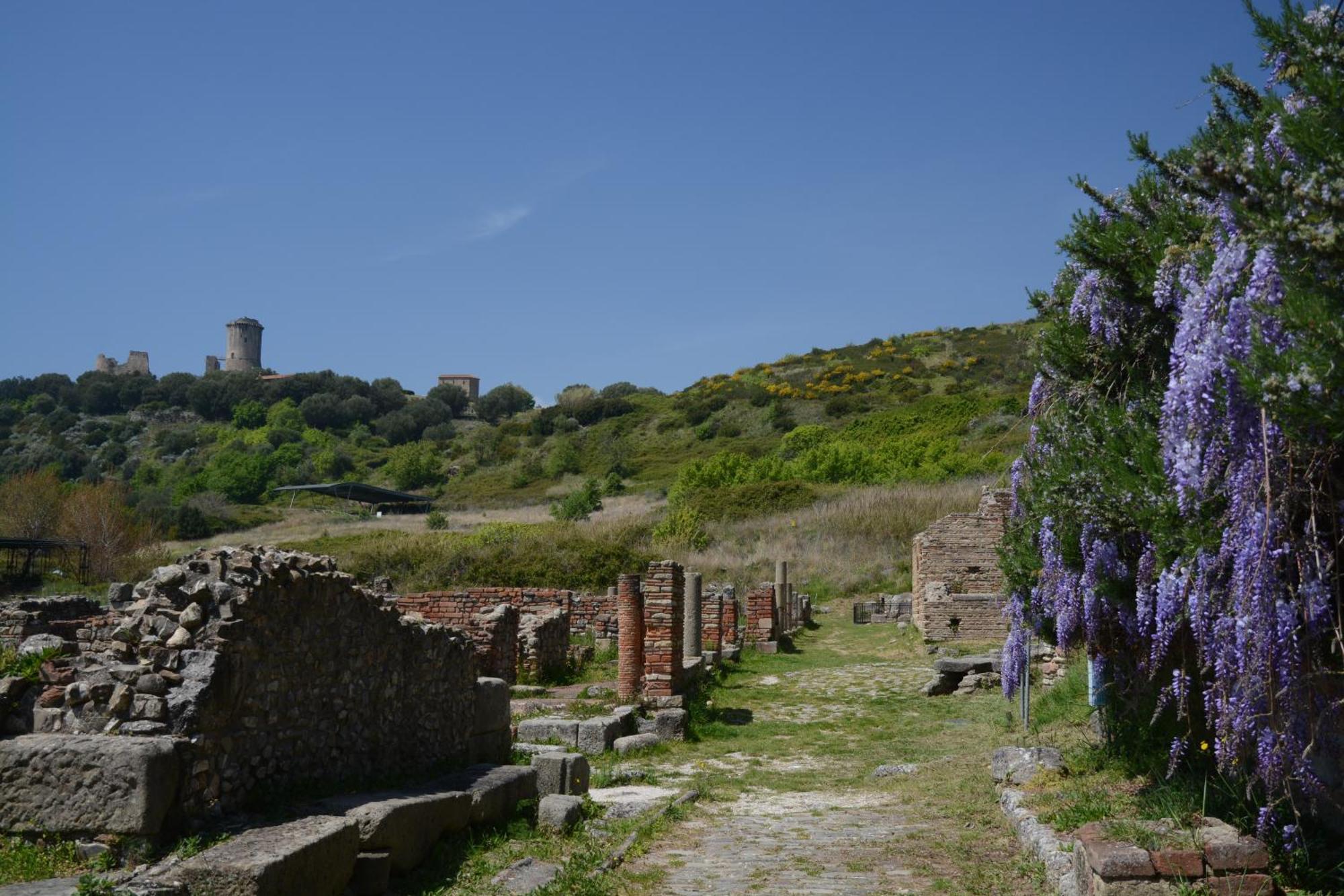 Agriturismo La Petrosa Ceraso Eksteriør billede