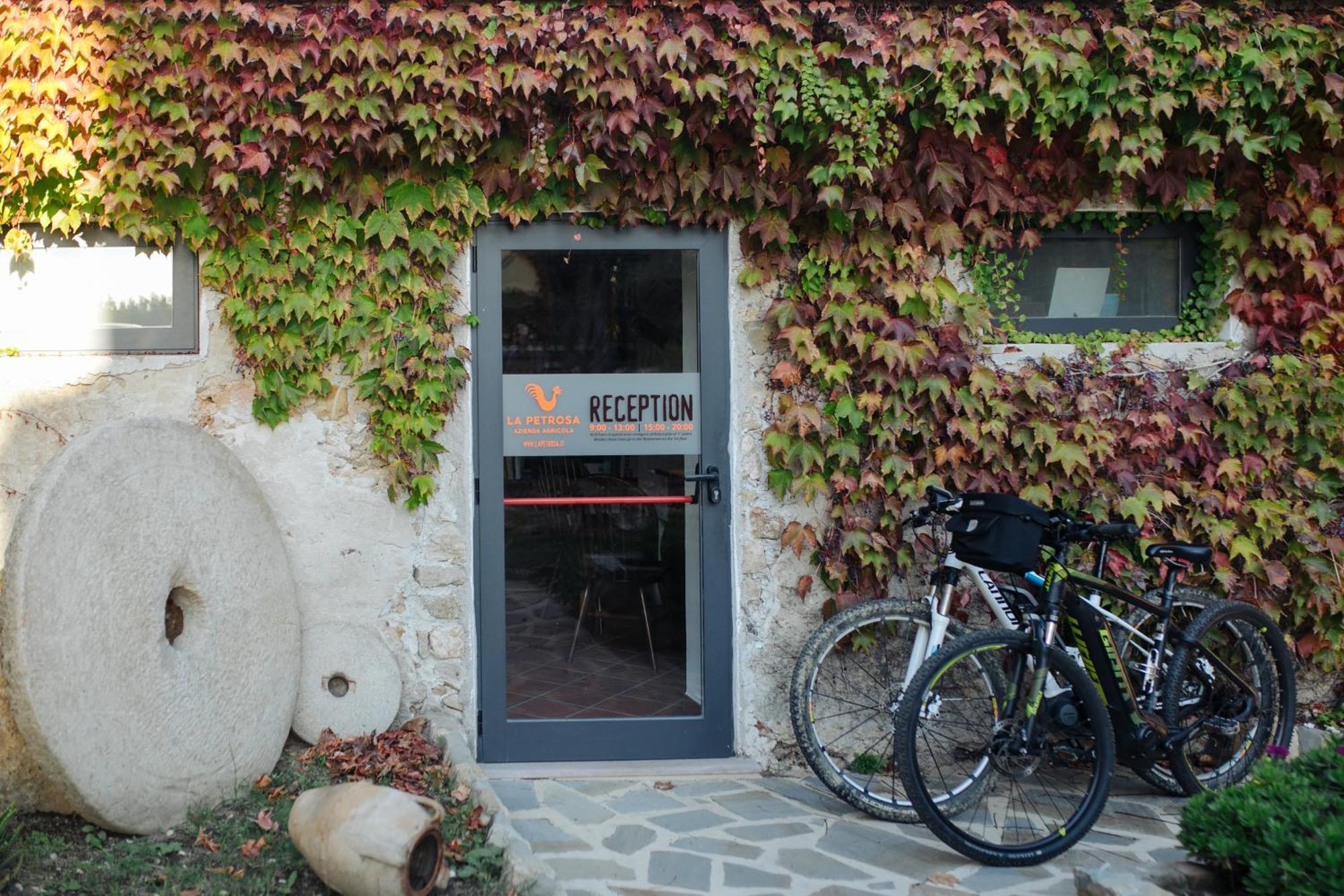 Agriturismo La Petrosa Ceraso Eksteriør billede