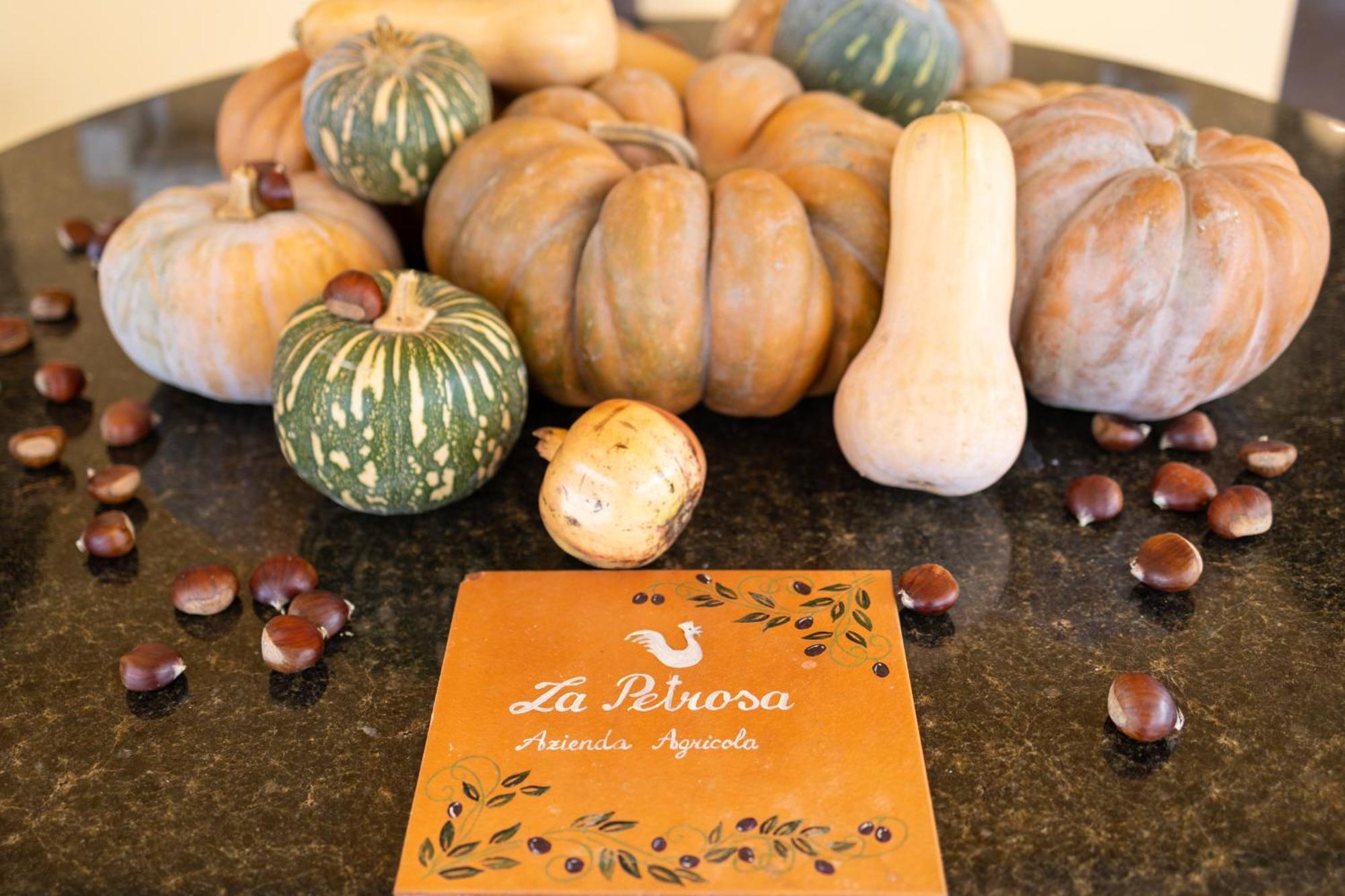 Agriturismo La Petrosa Ceraso Eksteriør billede