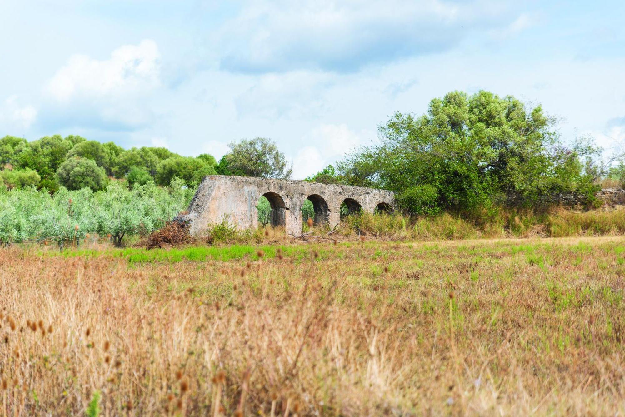 Agriturismo La Petrosa Ceraso Eksteriør billede