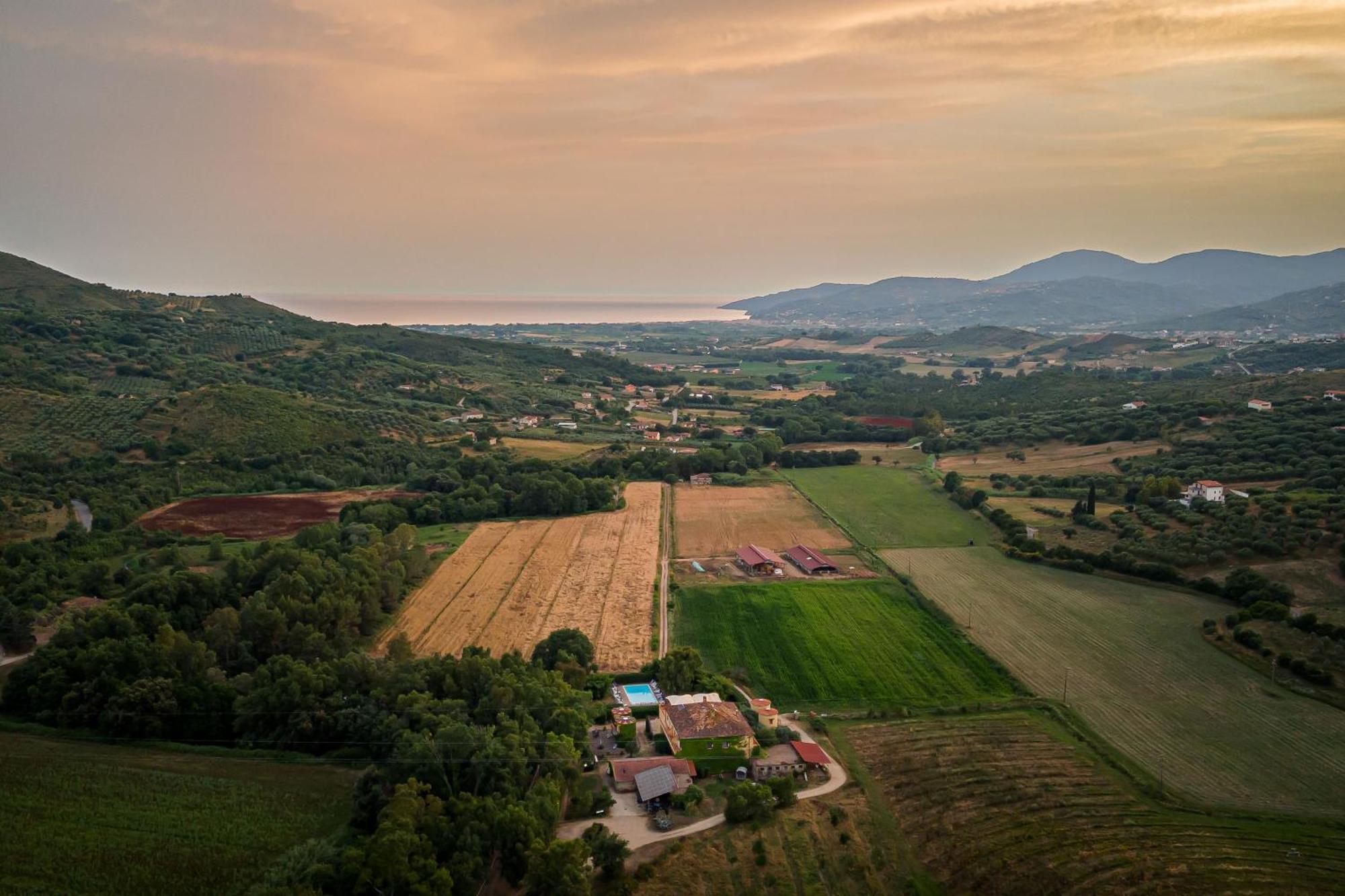 Agriturismo La Petrosa Ceraso Eksteriør billede