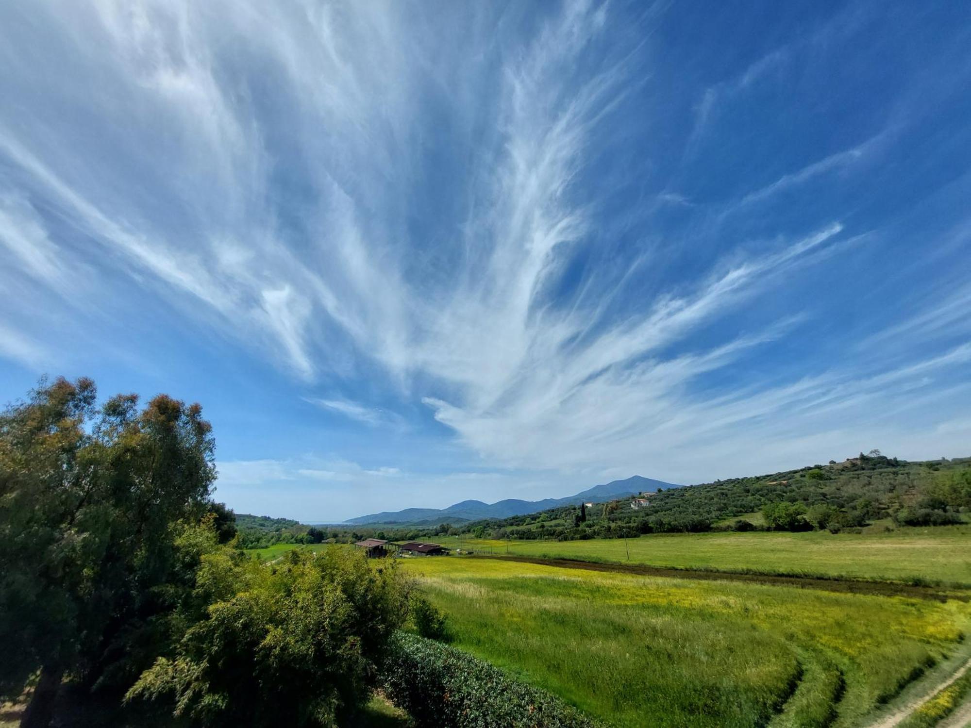 Agriturismo La Petrosa Ceraso Eksteriør billede