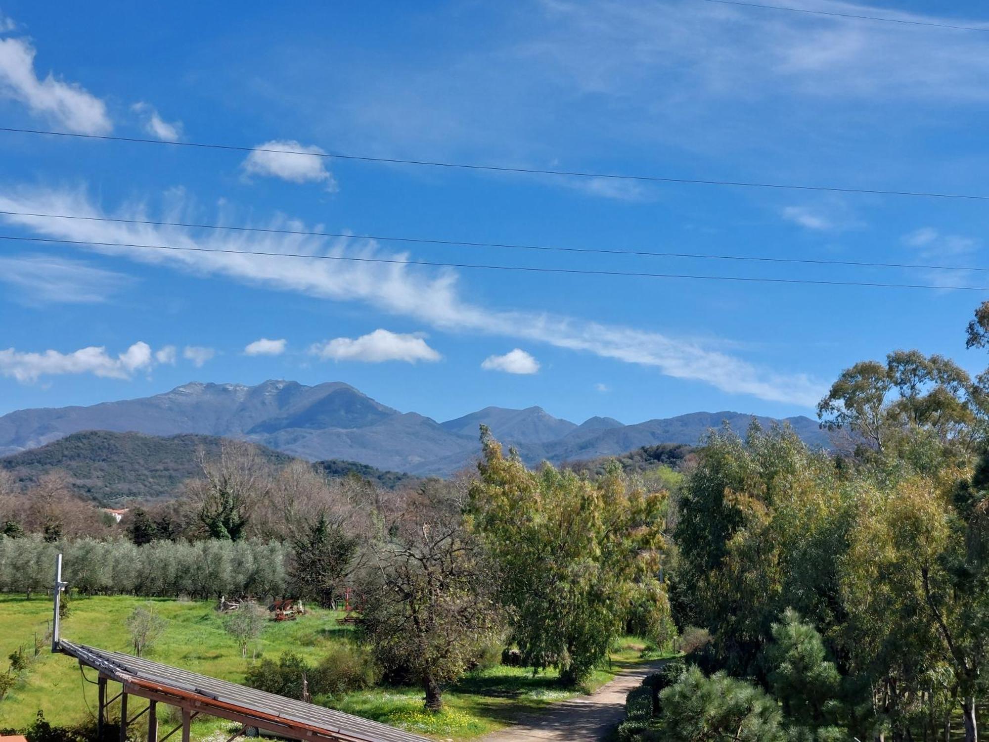 Agriturismo La Petrosa Ceraso Eksteriør billede